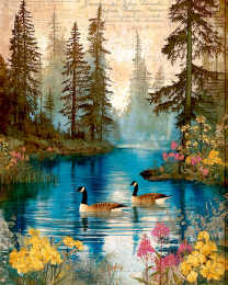 Geese on the Pond - Canada Goose Art Print