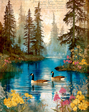 Geese on the Pond - Canada Goose Art Print