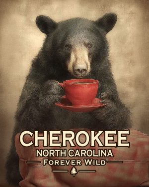 Cherokee, North Carolina  - Forever Wild - Bear Enjoying a Cup of Coffee