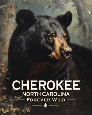 Cherokee, North Carolina  - Forever Wild - Black Bear