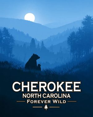 Cherokee, North Carolina  - Forever Wild - Mother Bear and Cub Enjoy the Evening