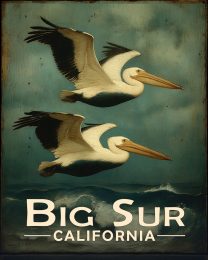 Big Sur California Souvenir Art Print - Pelicans Flying By
