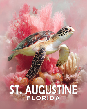 Sarasota Florida Souvenir Art Print - Pink Sea Turtle