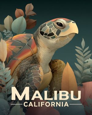 Malibu California Souvenir Art Print - Curious Sea Turtle