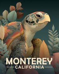 Monterey California Souvenir Art Print - Curious Sea Turtle