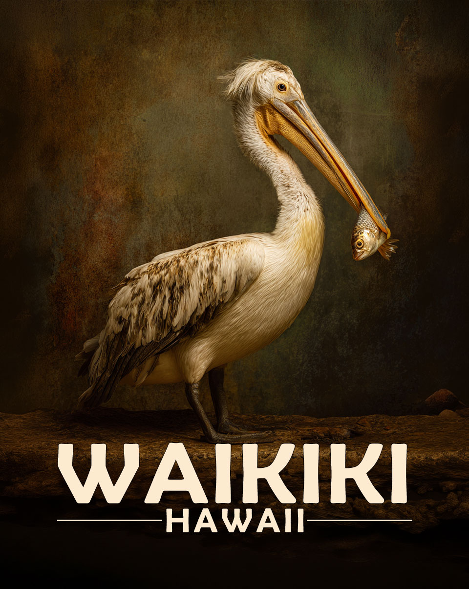 Waikiki, Hawaii Souvenir Art Print - Pellican with Fish