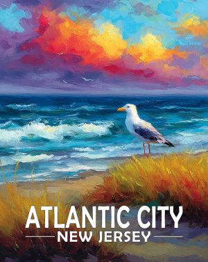 Atlantic City, New Jersey  Souvenir Art Print - Seagull on a Beach at Sunset