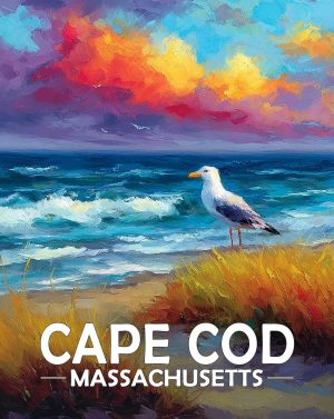 Cape Cod, Massachusetts  Souvenir Art Print - Seagull on a Beach at Sunset
