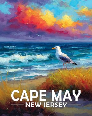 Cape May, New Jersey  Souvenir Art Print - Seagull on a Beach at Sunset