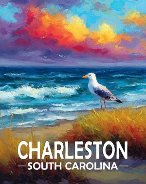 Charleston, Noth Carolina  Souvenir Art Print - Seagull on a Beach at Sunset