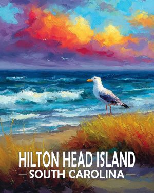Hilton Head Island, South Carolina  Souvenir Art Print - Seagull on a Beach at Sunset