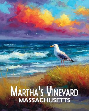 Martha's Vinyard, Massachusetts  Souvenir Art Print - Seagull on a Beach at Sunset
