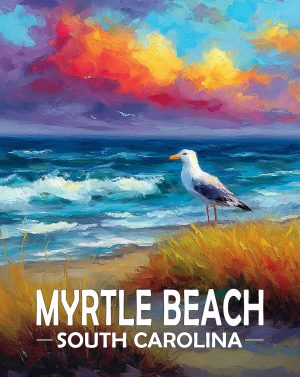 Myrtle Beach, South Carolina  Souvenir Art Print - Seagull on a Beach at Sunset