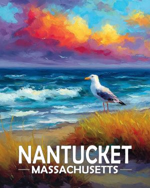 Nantucket, Massachusetts  Souvenir Art Print - Seagull on a Beach at Sunset