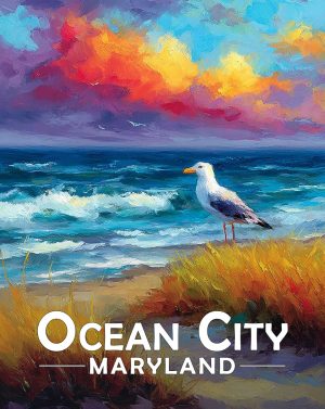 Ocean City, Maryland  Souvenir Art Print - Seagull on a Beach at Sunset