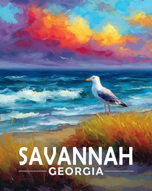 Savannah, Georgia  Souvenir Art Print - Seagull on a Beach at Sunset