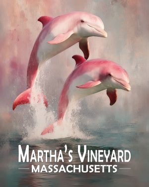 Martha's Vinyard, Massachusetts  Souvenir Art Print - Pair of Pink Dolphins Jumping
