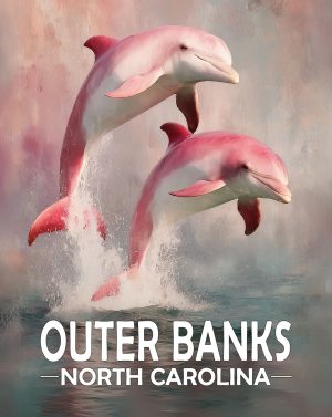 Outer Banks, North Carolina  Souvenir Art Print - Pair of Pink Dolphins Jumping