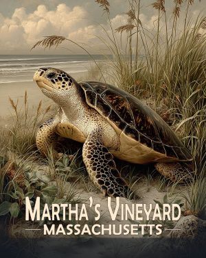Martha's Vinyard, Massachusetts  Souvenir Art Print - Colorful Sea Turtle