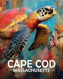 Cape Cod, Massachusetts  Souvenir Art Print - Full Moon Rising on the Coast