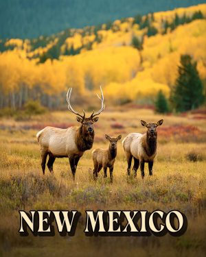 Elk Family -  New Mexico Souvenir Art Print