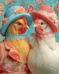 Winter & Summer from Lake Tahoe - Chicken Art Print