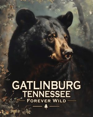 Gatlinburg Tennessee  - Forever Wild - Black Bear   Mowbi's Wildlife
