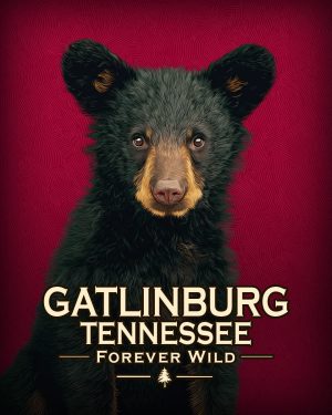 Gatlinburg Tennessee  - Forever Wild - Hip Black Bear Cub