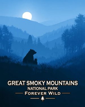 Great Smoky Mountains  - Forever Wild - Mother Bear and Cub Enjoy the Evening