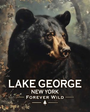 Lake George  - New York - Forever Wild - Black Bear