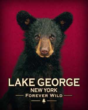 Lake George  - New York - Forever Wild - Hip Black Bear Cub