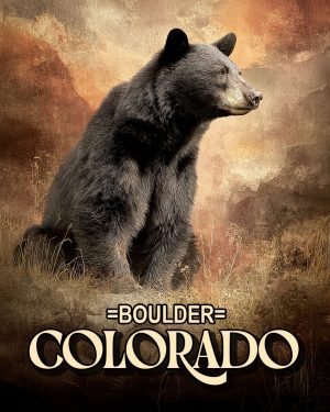 Lone Black Bear - Boulder Colorado Souvenir Art Print.jpg