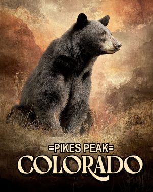 Lone Black Bear -  Pikes Peak Souvenir Art Print