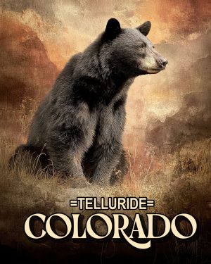 Lone Black Bear -  Telluride Souvenir Art Print