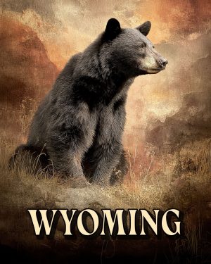 Lone Black Bear -  Wyoming Souvenir Art Print