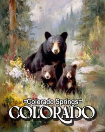 Mother Bear with Cubs - Colorado Springs Souvenir Art Print