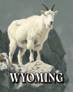 Mountain Goat -  Wyoming Souvenir Art Print