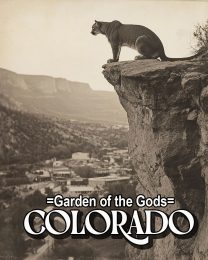 Mountain Lion Observing the Town - Garden of the Gods Souvenir Art Print