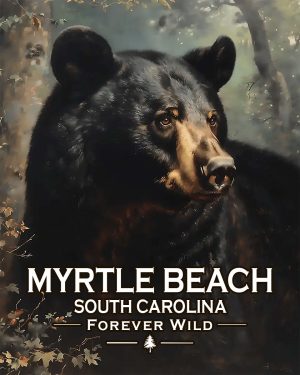 Myrtle Beach, South Carolina  - Forever Wild - Black Bear