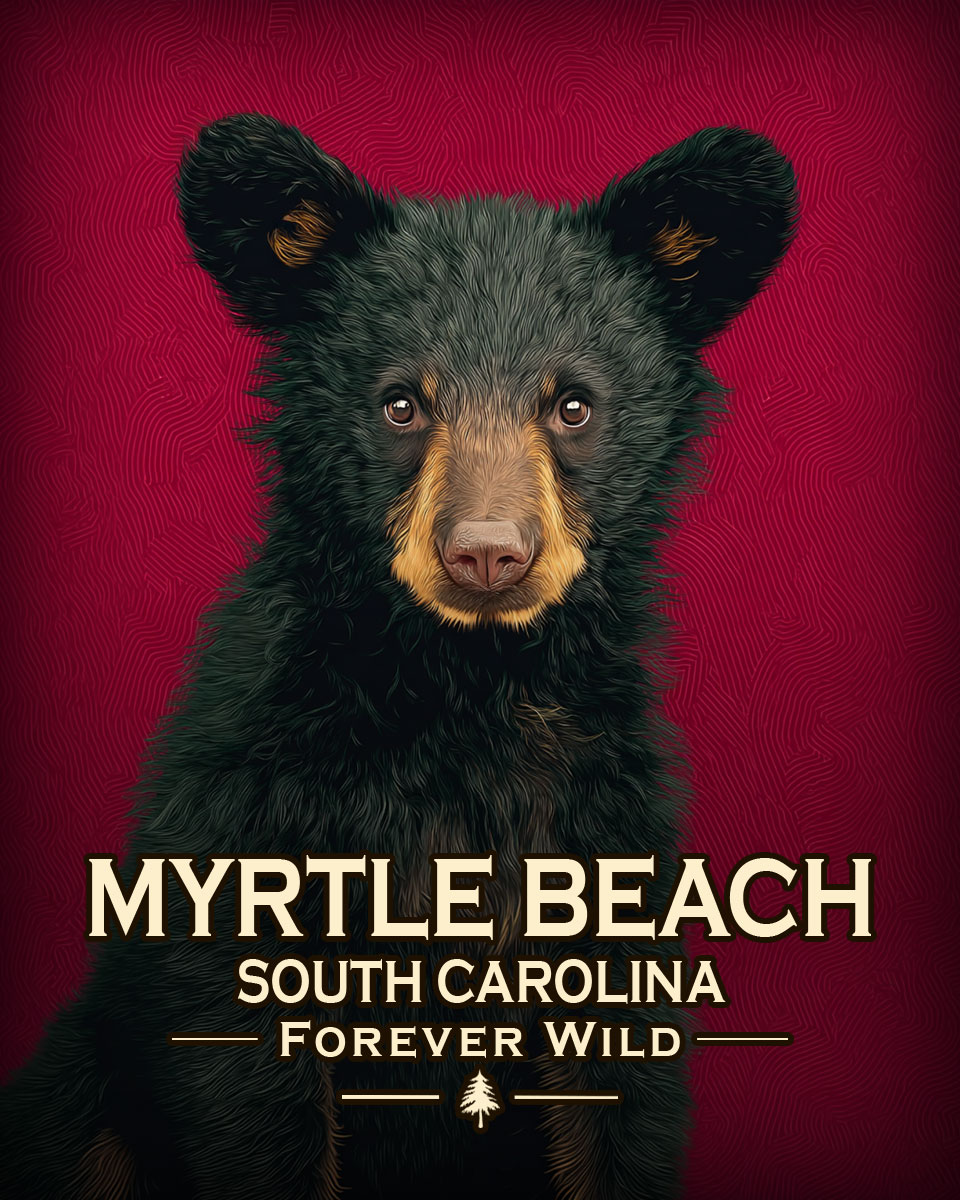 Myrtle Beach, South Carolina  - Forever Wild - Hip Black Bear Cub
