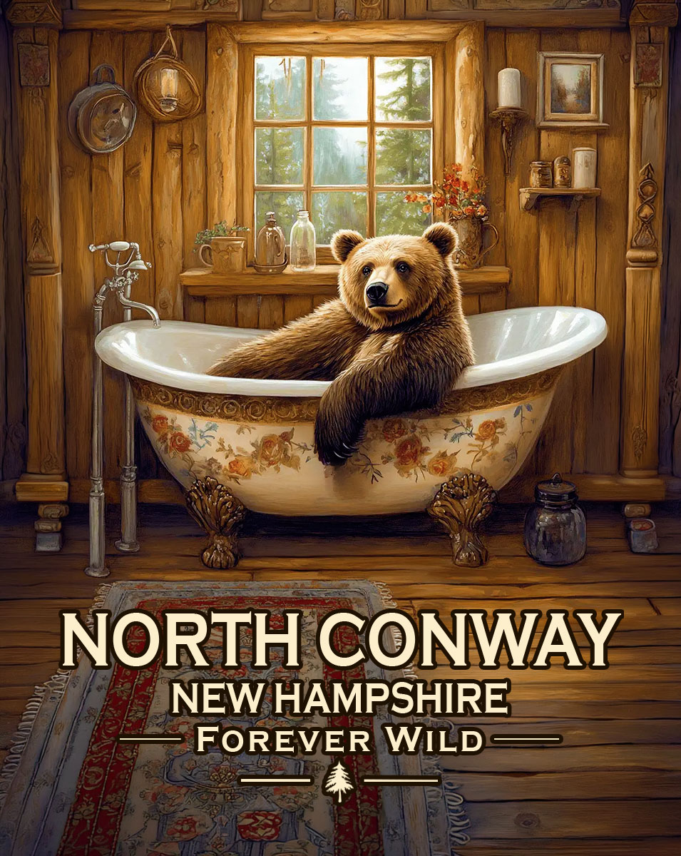 North Conway, New Hampshire  - Forever Wild - Black Bear in Tub