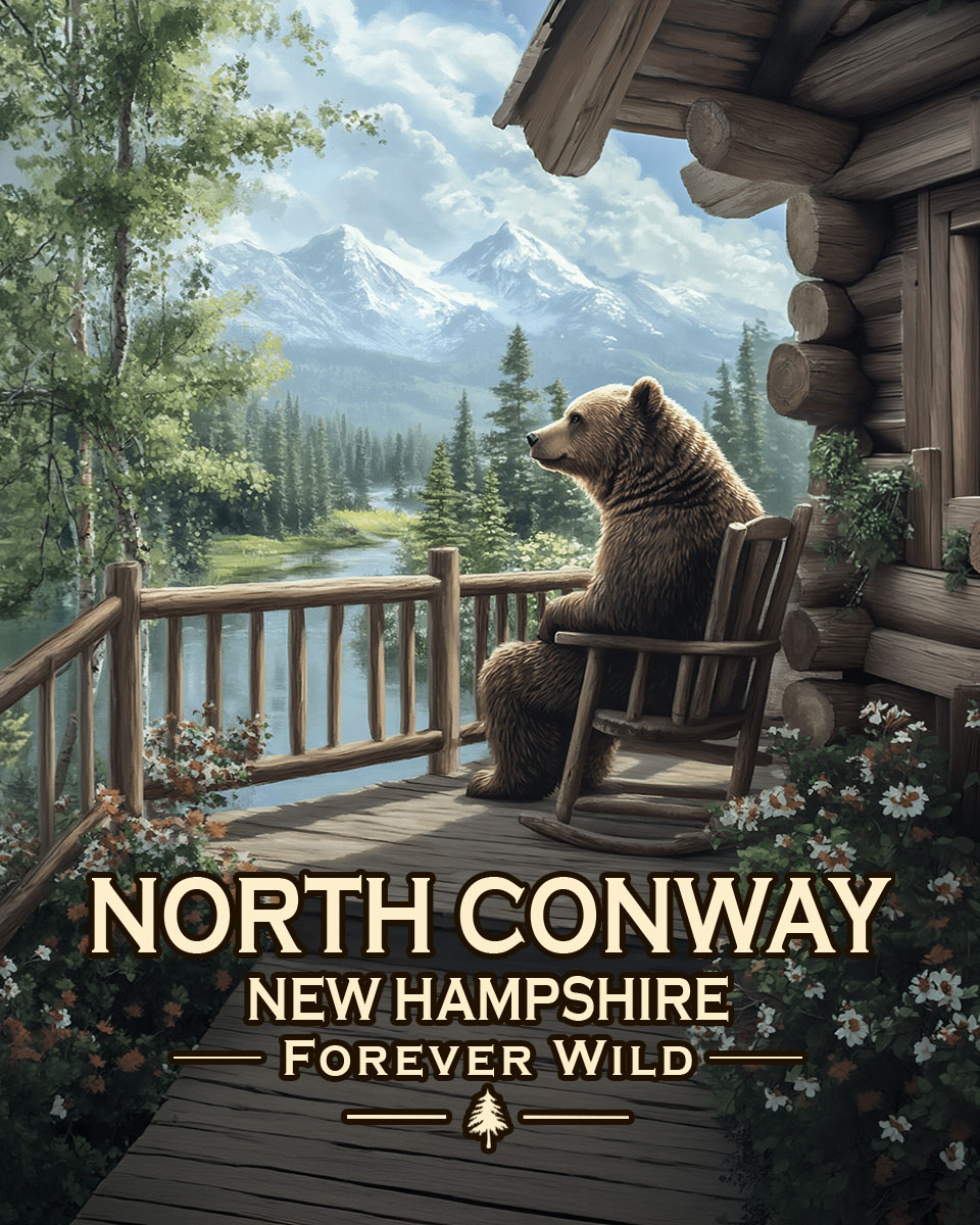 North Conway, New Hampshire  - Forever Wild - Black Bear on Porchpng
