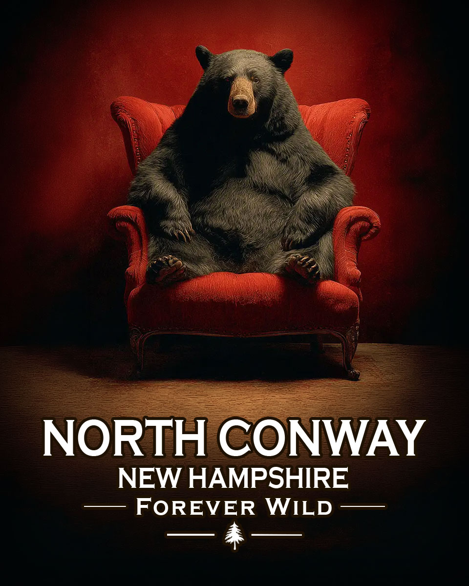 North Conway, New Hampshire  - Forever Wild - Lazy Bear in Chair