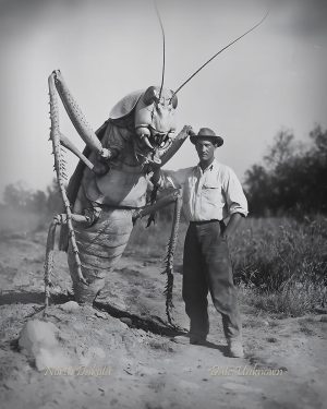 North Dakota - Standing by Giant Grasshopper - Vintage Style Agriculture Cryptid Photo
