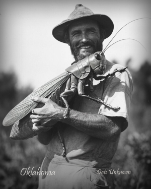 Oklahoma - Holding Giant Grasshopper - Vintage Style Agriculture Cryptid Photo