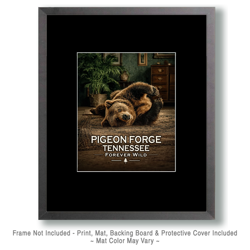 Pigeon Forge Tennessee - Forever Wild - Bear Playing on Rug - Image 2