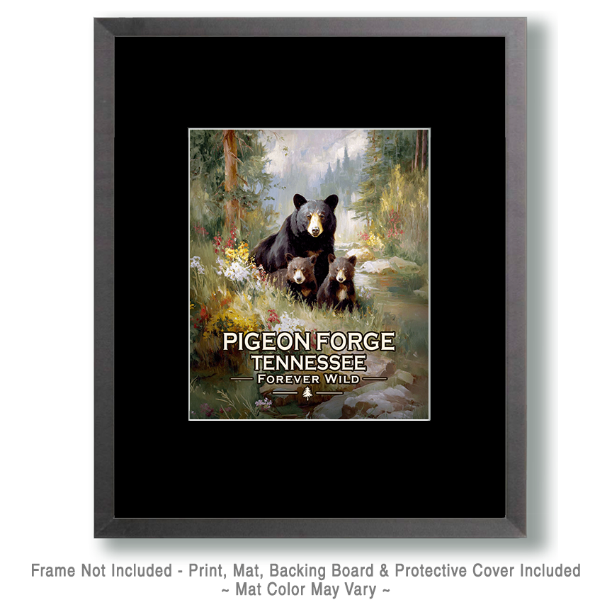 Pigeon Forge Tennessee - Forever Wild - Black Bear Mother and Cubs - Image 2