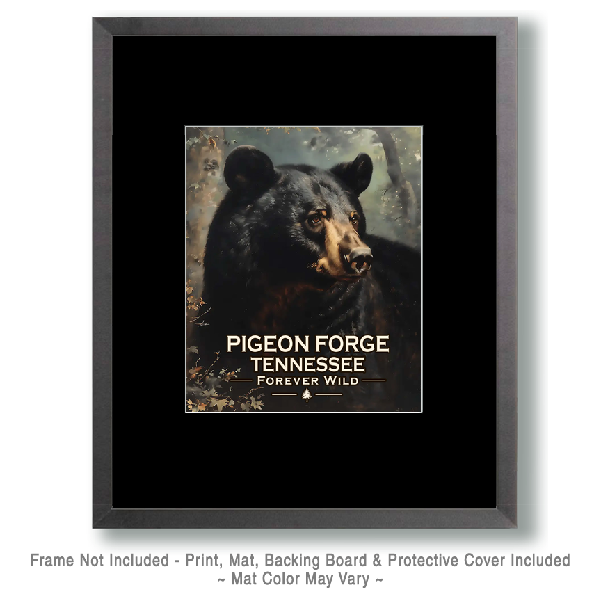 Pigeon Forge Tennessee - Forever Wild - Black Bear - Image 2