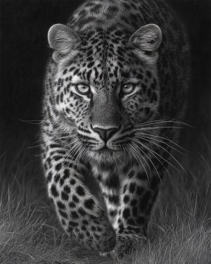 Portrait of a Leopard - Black and White Wildlife Art Print