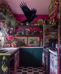 Raven Caught in Maximalist Kitchen